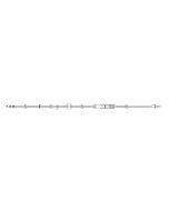 Sapphire Microbore Admin Set, 116", 0.2 micron filter, Back Check Valve, Non-Vented Spike