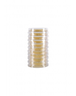 LokTight™ Tryptic Soy Agar (TSA), w/Lecithin and Tween, USP, Irradiated, Triple Bagged