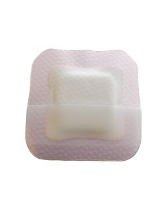 Allevyn Gentle Bor Gel Drsg,3x3,40/Cs