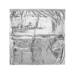 Coldkeepers Thermal Pouch, 19