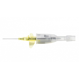 Cathena™ Safety IV Catheter with BD Multiguard™ Technology, 24 G x 0.75